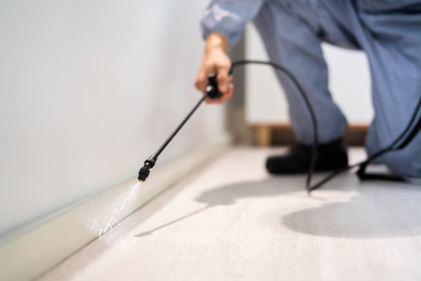 Licensed Rodent Control service in Alpine, TX - Nex Pest Control