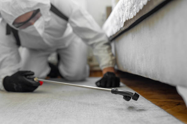 Professional Rodent Control technician working in Alpine, TX
