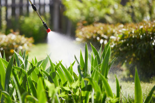 24/7 Emergency Rodent Control experts in Alpine, TX