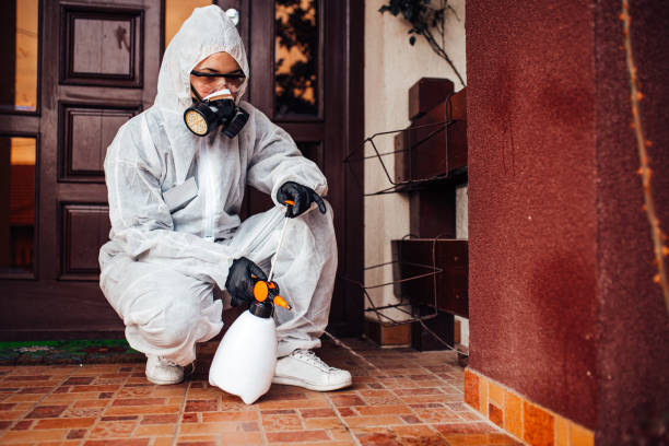 Reliable Rodent Control contractor in Alpine, TX by Nex Pest Control